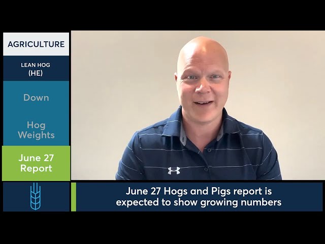When could lean hogs price bottom out? 6/20/24