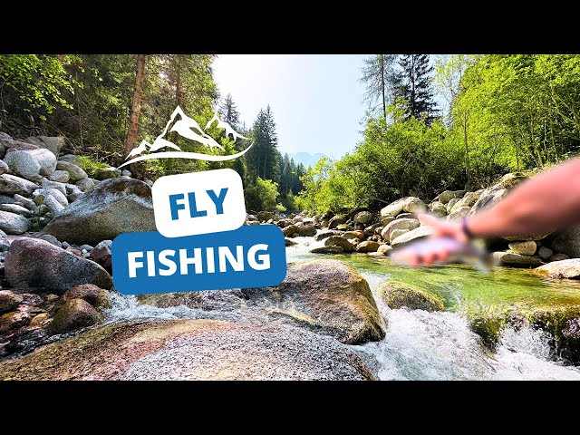 Pesca alla Trota a Mosca nel Torrente di Montagna | Fly Fishing  | DAY 4