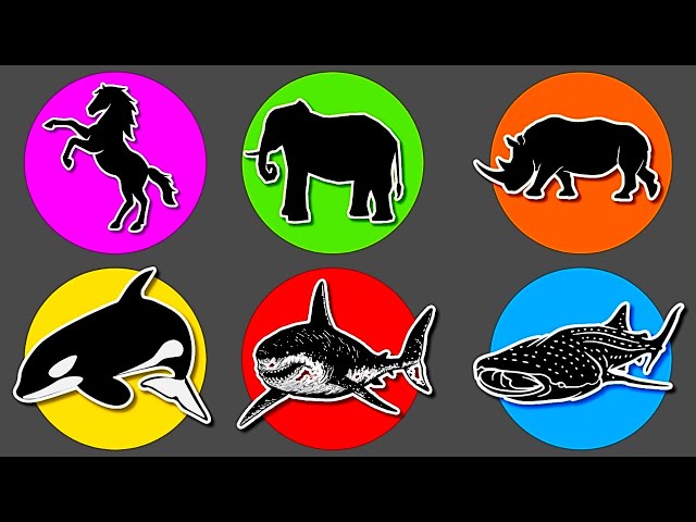 Land & Sea Animals: Megalodon, Elephant, Orca, Horse, Whale Shark and Rhinoceros. ME106