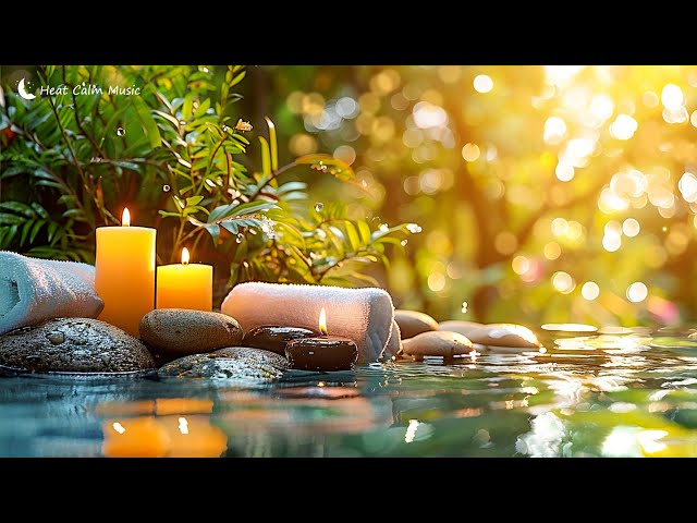 Soothing Relaxation Music with Relaxing Piano, Sleep Music, Water Sounds, and Meditation