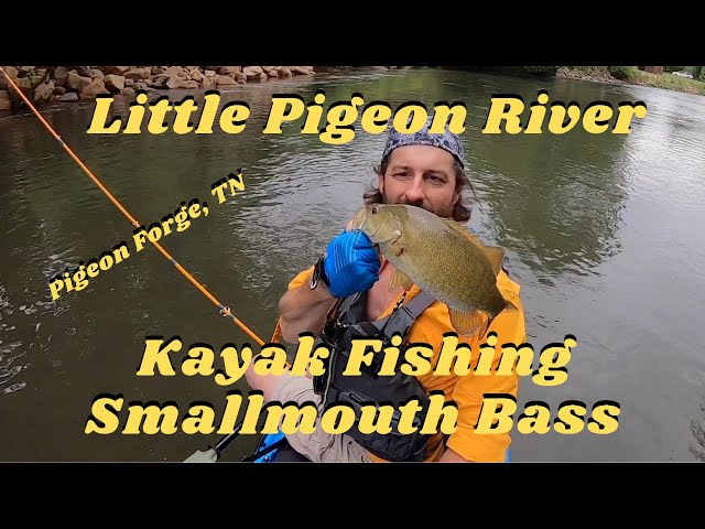 1st Time Kayak fishing the Little Pigeon River - May 27, 2020
