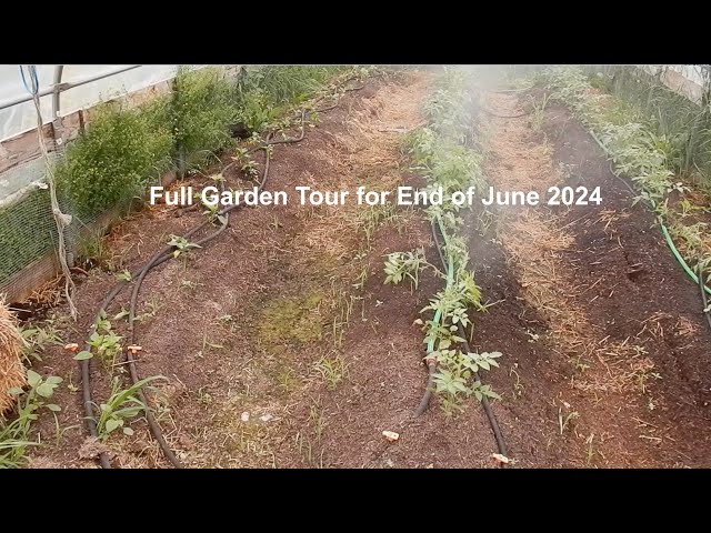 Full Garden Tour for End of June 2024