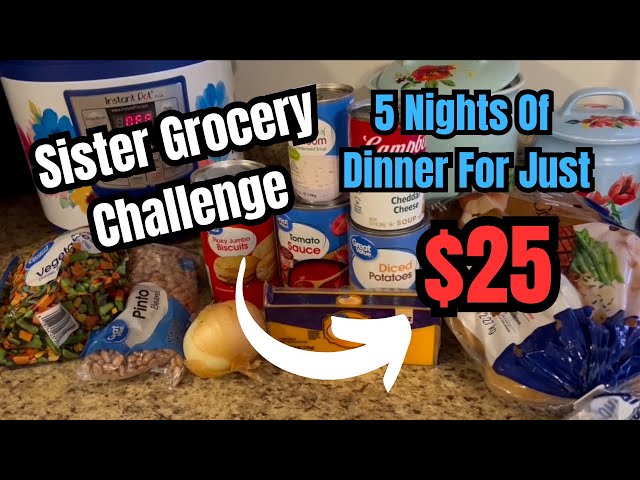 $25 Budget For 5 Nights Of Dinner Using Pantry Basics || Sister Grocery Challenge