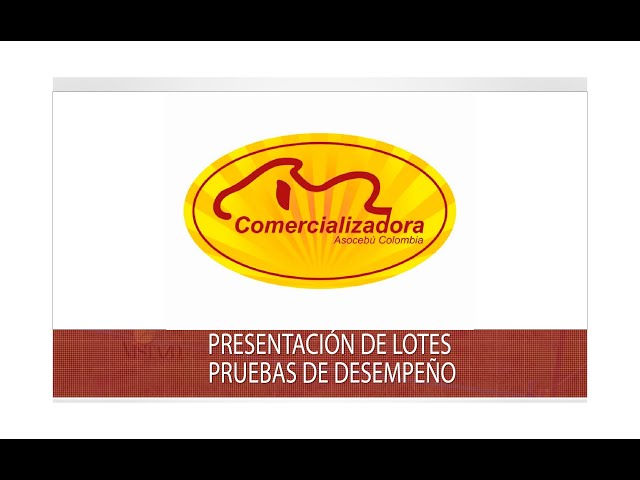 Presentacion de lotes Pruebas de Desempeño comercializadora Asocebú - TvAgro por Juan Gonzalo Angel