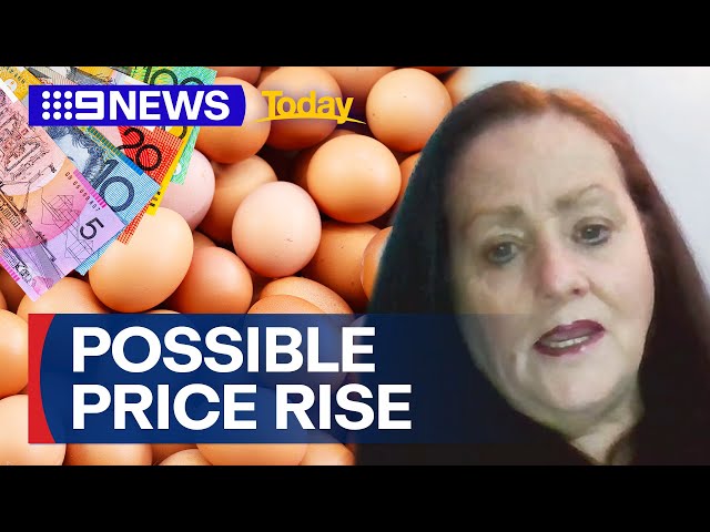 Egg prices could rise after bird flu detected on Victoria and NSW farms | 9 News Australia