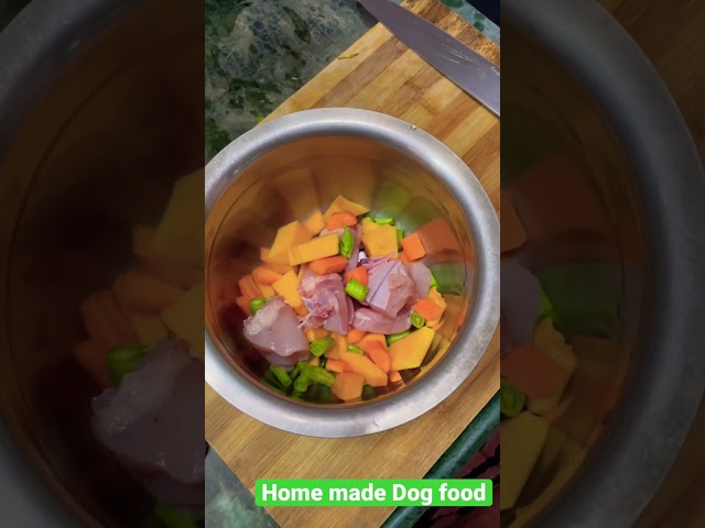 Best dog food || Home made non veg recipe #dogfood #homemade #chicken