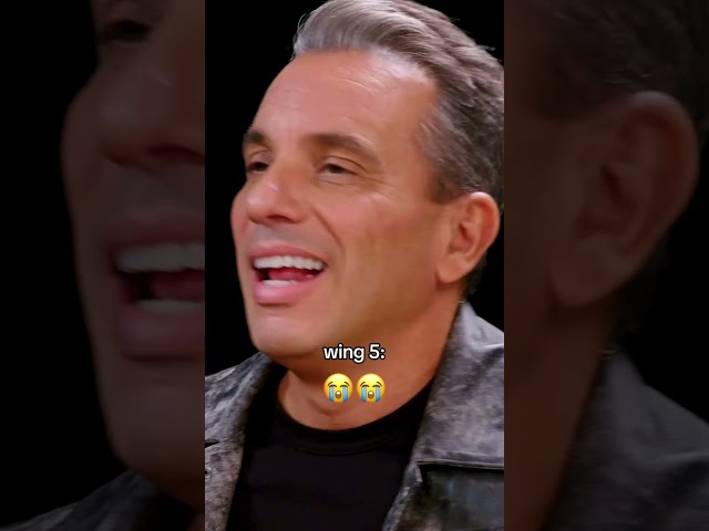 Sebastian Maniscalco's reaction to every wing on Hot Ones 🥵😂