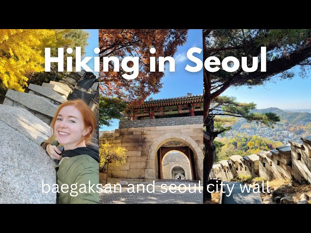 Climbing Baegaksan and the Seoul City Wall | Life in Korea VLOG (Bugaksan Hiking)