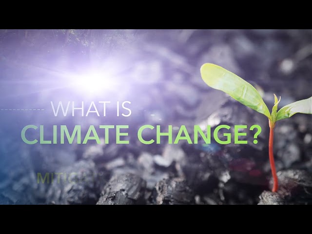 International Monetary Fund Climate Change Educational Videos | d'Vinci Interactive