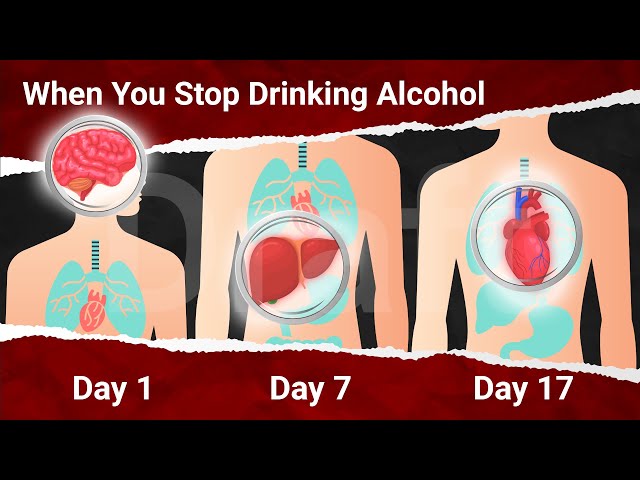 8 Reasons to Quit Drinking Alcohol Now (What Happens To Your Body When You Stop Drinking Alcohol)