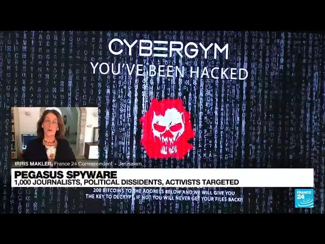 1,000 journalists,politicians and activists targeted by Pegasus spyware • FRANCE 24 English