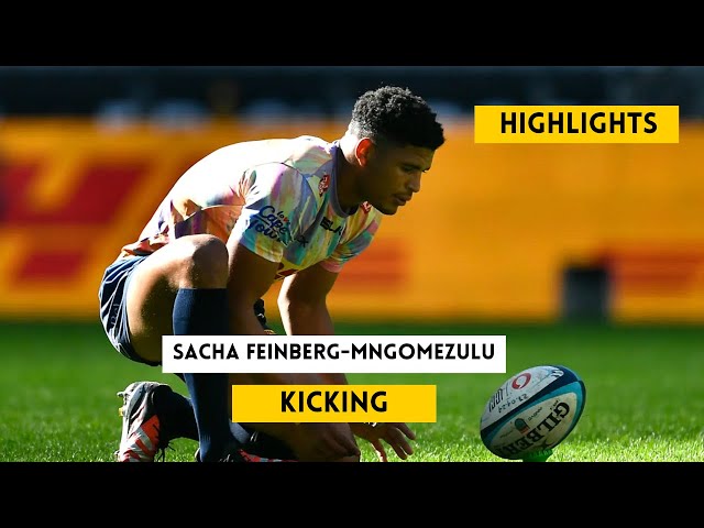 Sacha Feinberg Mngomezulu Brilliant Kicks | Springboks vs Wales Rugby Highlights 2024 Championship