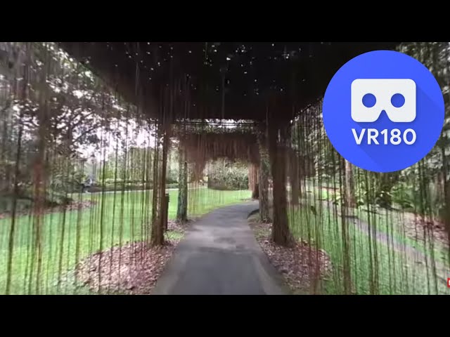 [VR180 5.7k] Vuze XR & Studio 3.0.5843 Stabilization Test by walking in 180° 3D mode