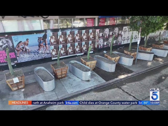 Planters used to deter homeless encampments in Hollywood forced to be removed