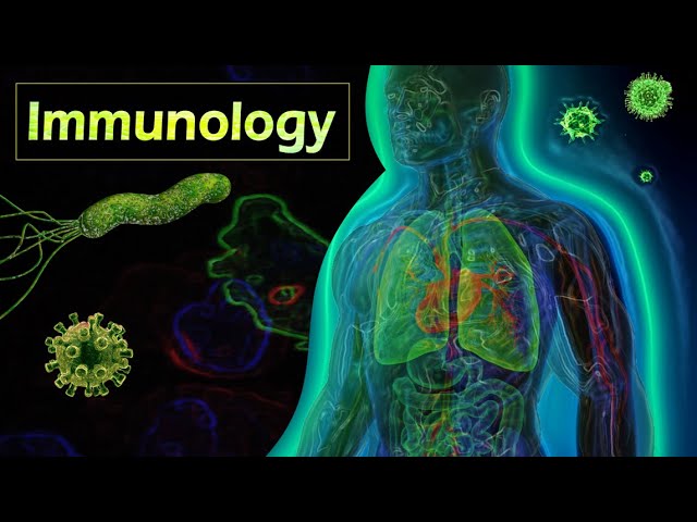 Introduction to Immunology (Animation)
