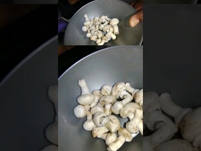 simplest way to clean mushrooms | cleaning hack 🍄 #shorts