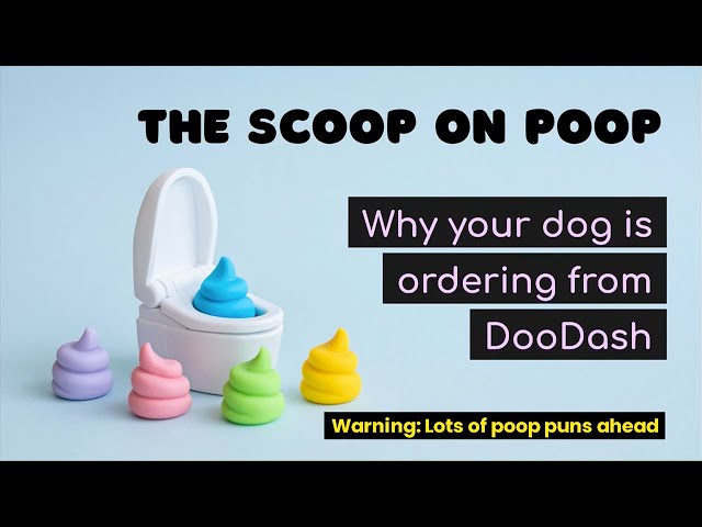 The Scoop on Poop: Why Dogs Eat Poop (Coprophagia)