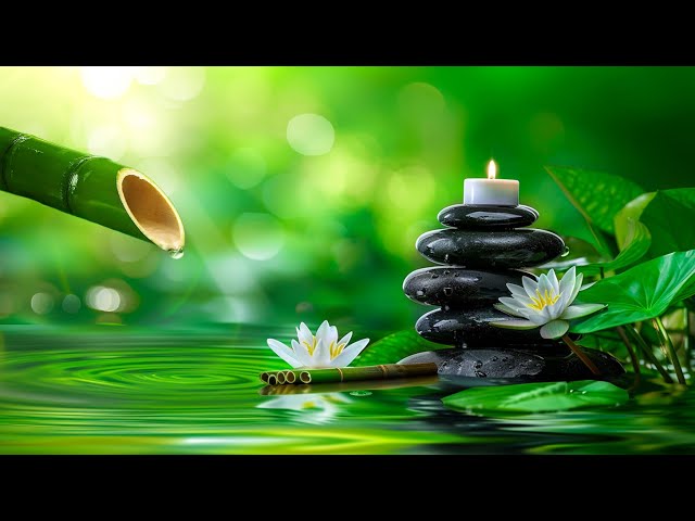 Relaxing Music for Sleep, Healing, Concentration, Work, Calming Music,Meditation Music, Nature Sound