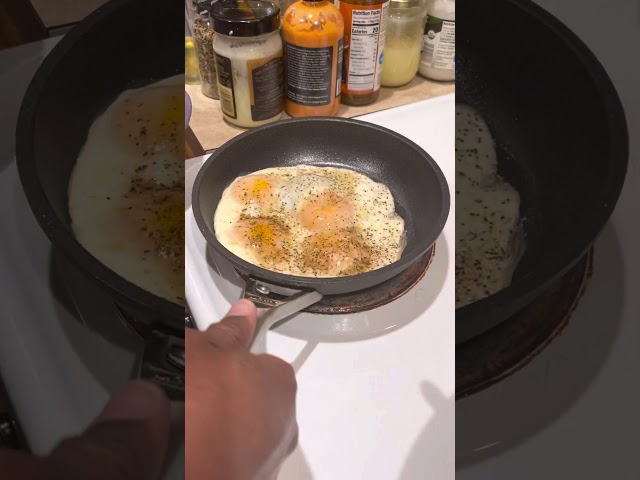 Ninja NeverStick Cookware Egg Follow Up No Oil