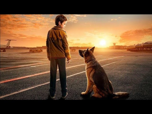 A Dog Named Palma | Based on a true story X Heart Touching Story ||Palma