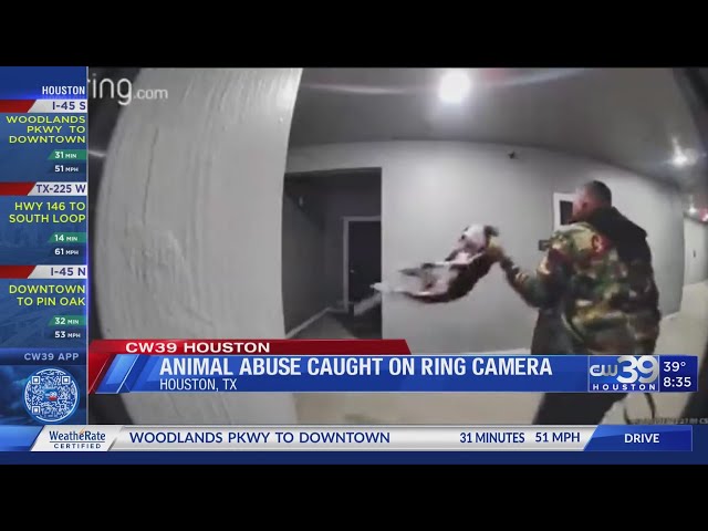 Animal abuse caught on Ring camera