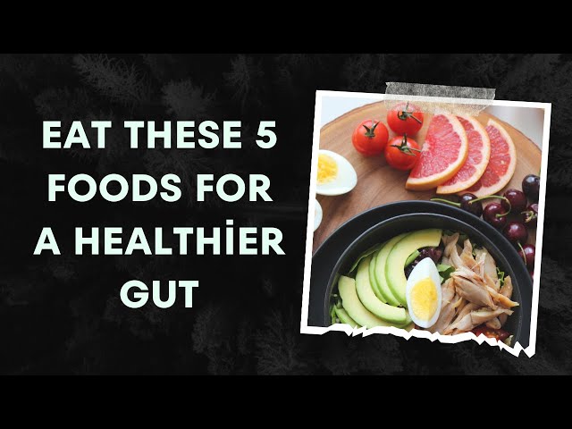 Top 5 Foods To Improve Gut Health