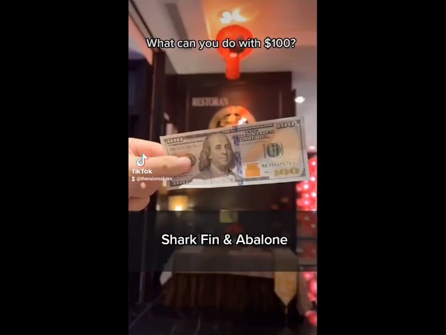 Shark Fin & Abalone