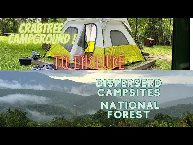 Pisgah National Forest Camping | Dispersed Camping | Primitive Camping 2023
