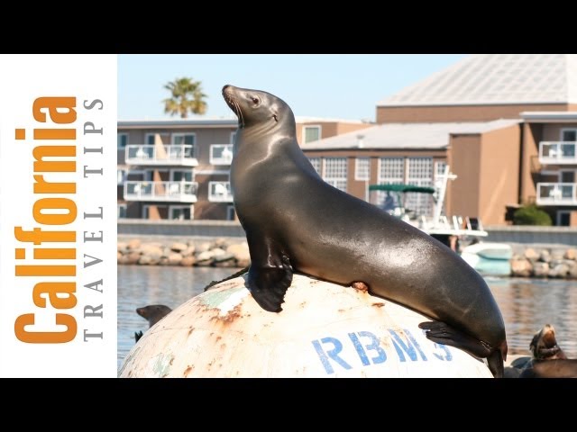 Redondo Beach Travel Guide | Things to Do in L.A. | California Travel Tips