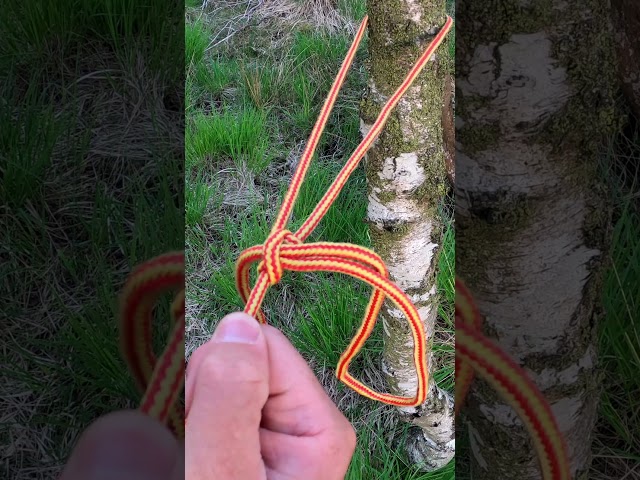 Taut Line Hitch | How to tie Knots for Wild Camping & Bushcraft | #shorts