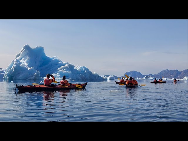 An Arctic Adventure in East Greenland • Daily Dose of Nature