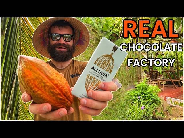 Where Does Chocolate Come From? | Bean to Bar
