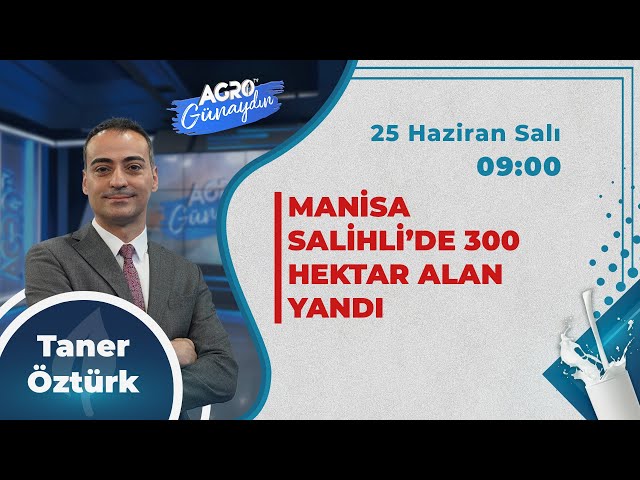 #CANLI AGRO TV İle GÜNAYDIN | MANİSA SALİHLİDE 300 HEKTAR ALAN YANDI