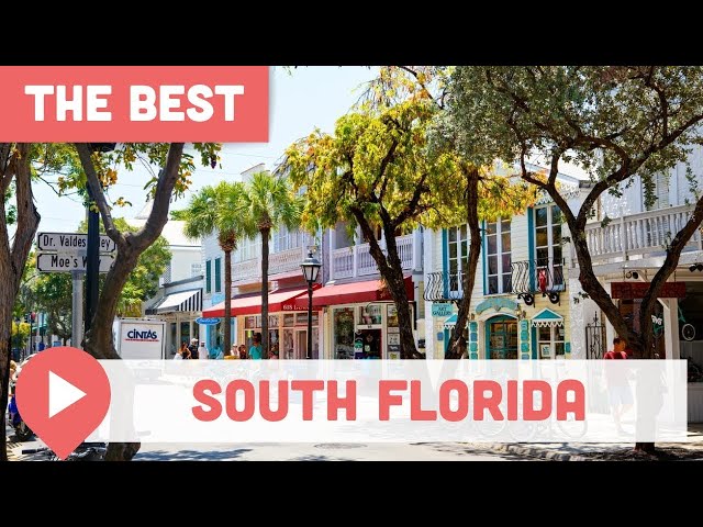 Best Things to Do in South Florida