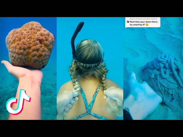 Unbelievable Things in Ocean (Coastal, Diving, Scuba Diving) TikTok Compilation