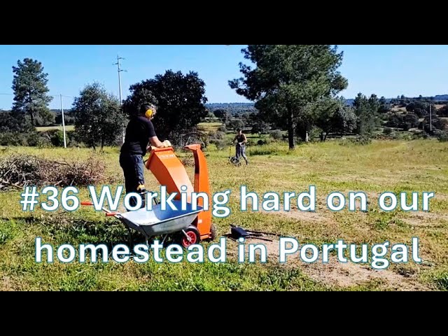 #36 Working hard on our homestead in Portugal