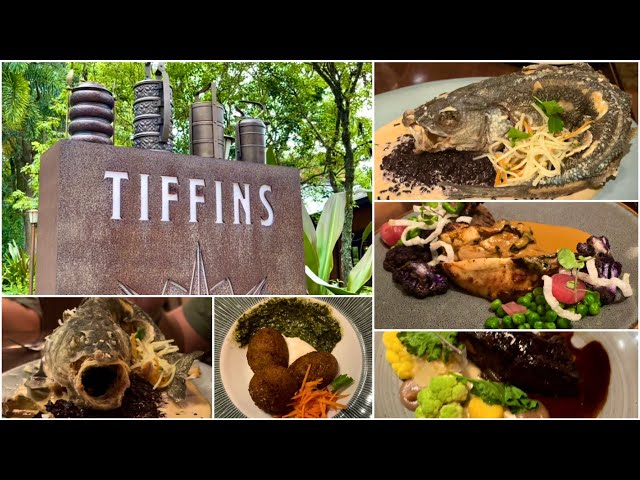 ティフィンズ レストラン |ランチツアー |ディズニーのアニマルキングダム | 2021年