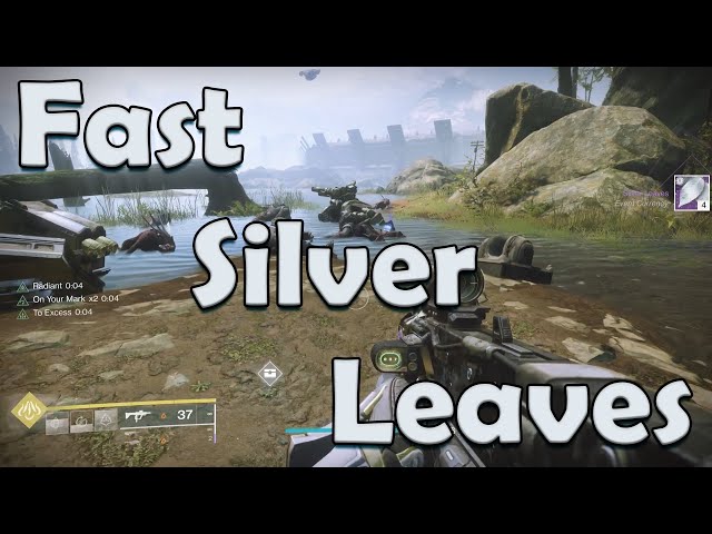 Fast Silver Leave Farm, Solstice 2022 Destiny 2. It's Not What You Think.