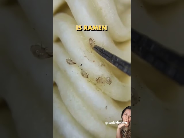 MITES IN YOUR RAMEN NOODLES 😭🤢 I have now seen numerous videos of food being examined under a micro
