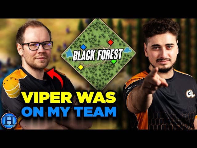 I Teamed Viper on 4v4 Black Forest | AoE2