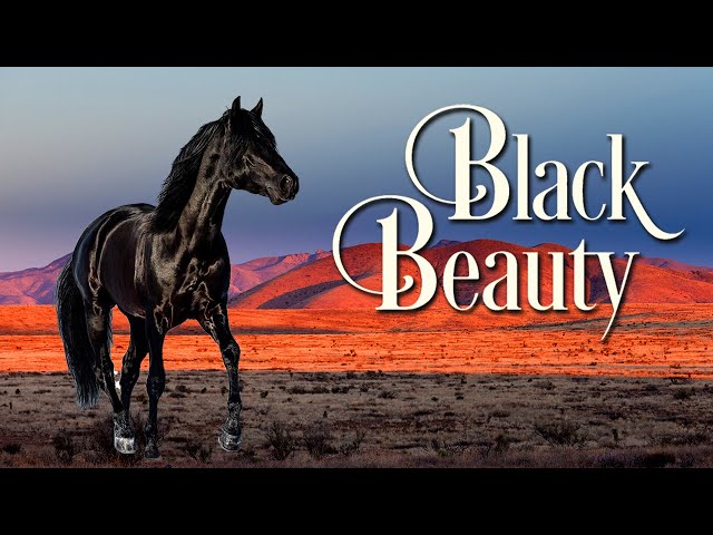 Black Beauty: Die Legende lebt weiter (ABENTEUER ganzer Film Deutsch, Familienfilm in voller Länge)
