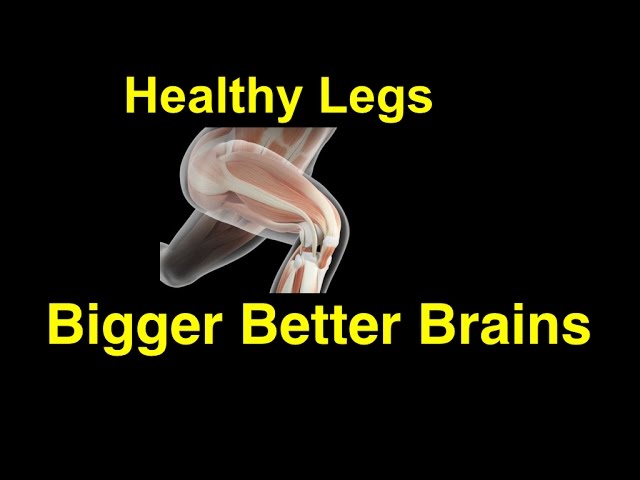 Look After Your Brain by Looking After Your Legs
