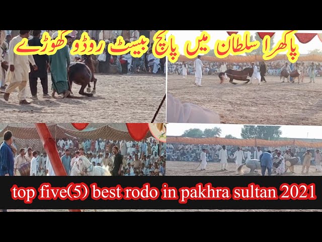 Top five(5) rodo horse dance in pakhra sultan in 2021 || jhang horse dance