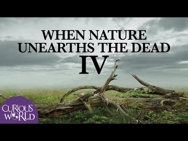 When Nature Unearths the Dead IV