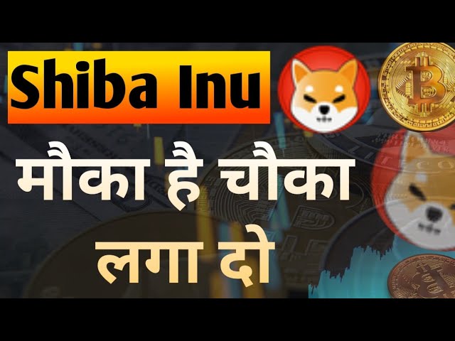 मौका है चौका लगा दो || Shiba Inu Coin News Today || Shiba inu Coin Price Prediction