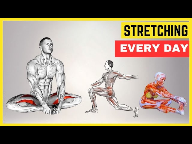 Daily Stretching Will CHANGE Your Life | STRETCHING Every Day