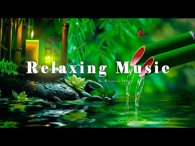 Relaxing Music to Relieve Stress, Anxiety and Depression 🌿 Heals The Mind, Body and Soul 4