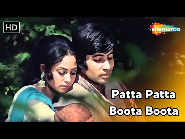 Patta Patta Boota Boota | Ek Nazar | Amitabh Bachchan, Jaya Bahaduri | Mohammad Rafi Hits