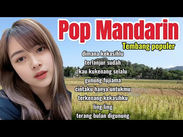 POP MANDARIN  TERPOPULER /TEMAN SANTAI MENIKMATI IRAMA MUSIC MANDARIN