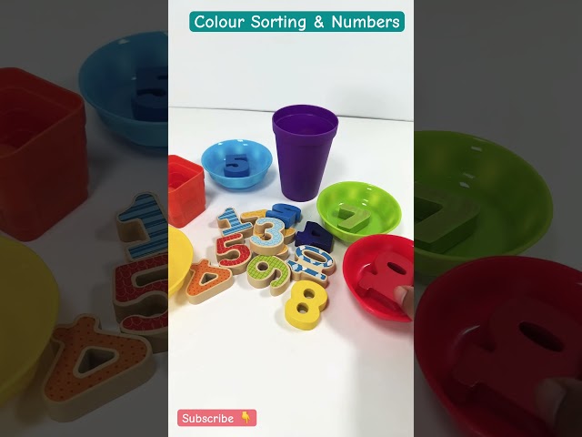 Colour Sorting | Numbers | Educational Activities for Toddlers